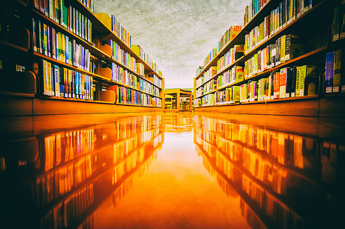 Library Shelves reflecting on floor